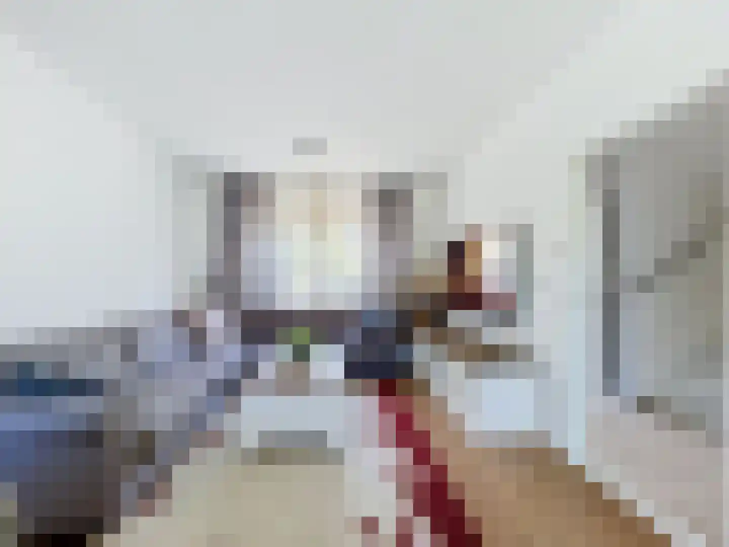 Gaaipersstraat 2 IJzendijke thumbnail 4