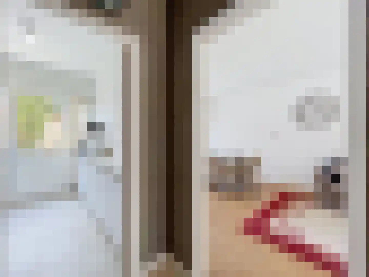 Gaaipersstraat 2 IJzendijke thumbnail 8