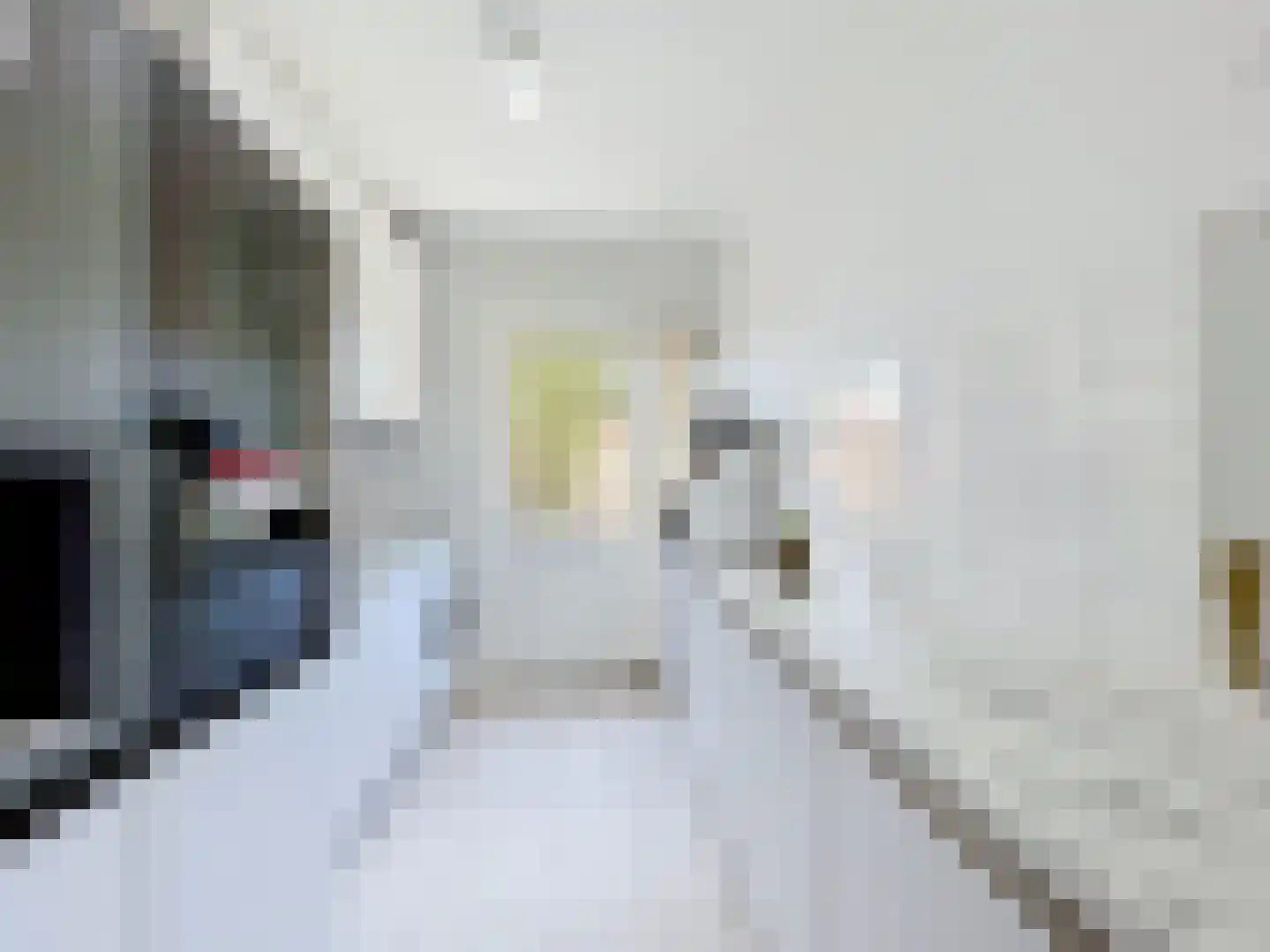 Gaaipersstraat 2 IJzendijke thumbnail 9