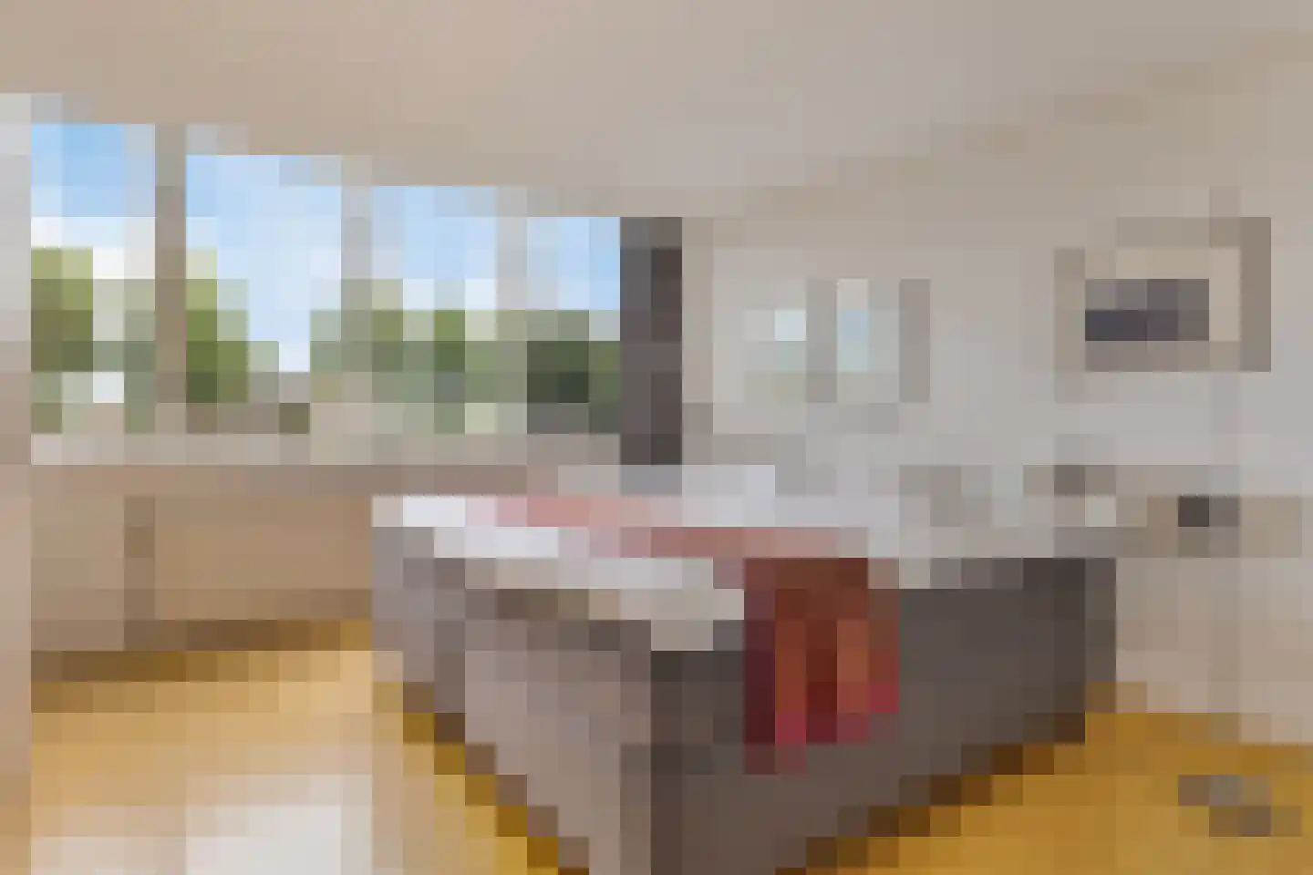 Gaaiperswei 64 Aardenburg thumbnail 27