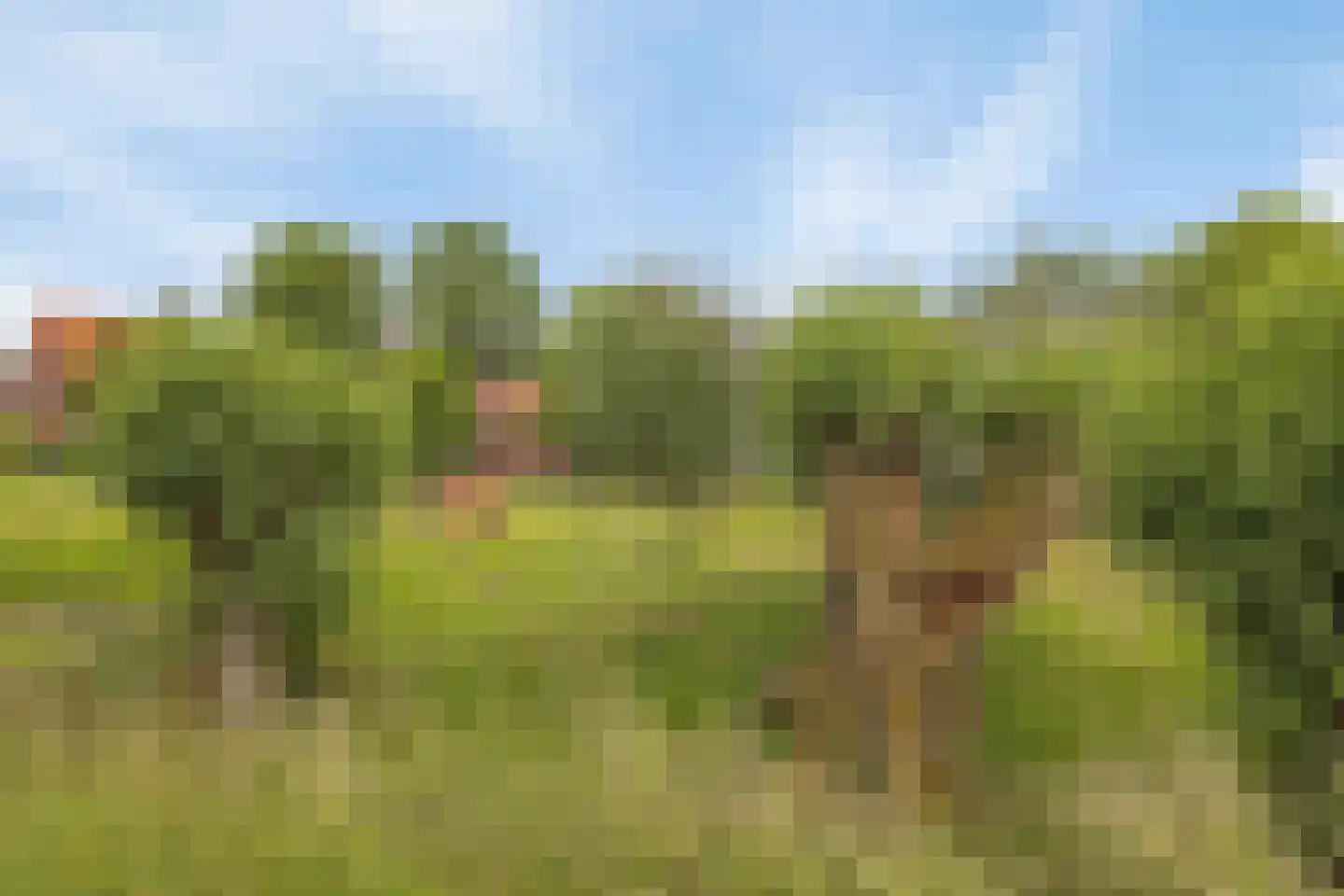 Gaaiperswei 64 Aardenburg thumbnail 66