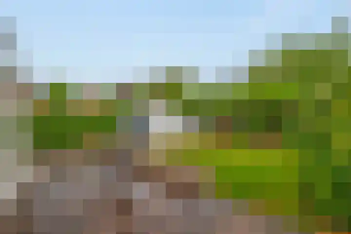Gaaistraat 6 Badhoevedorp thumbnail 32