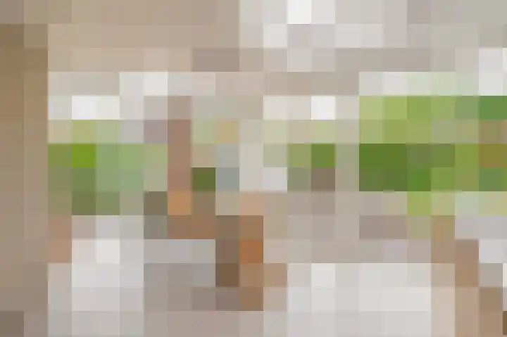 Gaaistraat 6 Badhoevedorp thumbnail 6