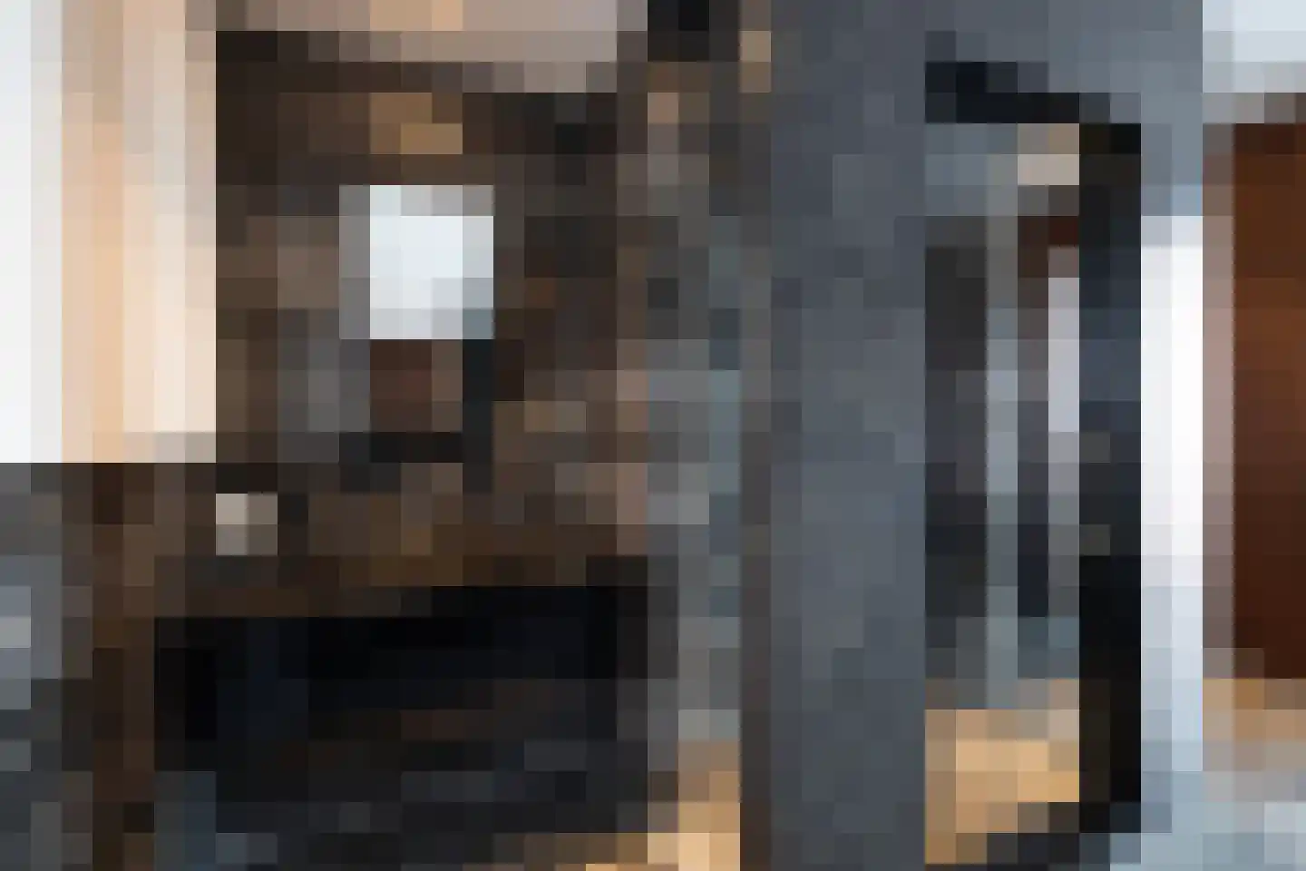 Gaalwaard 12 Vuren thumbnail 10