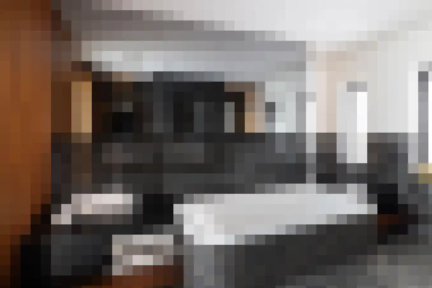 Gaalwaard 12 Vuren thumbnail 11