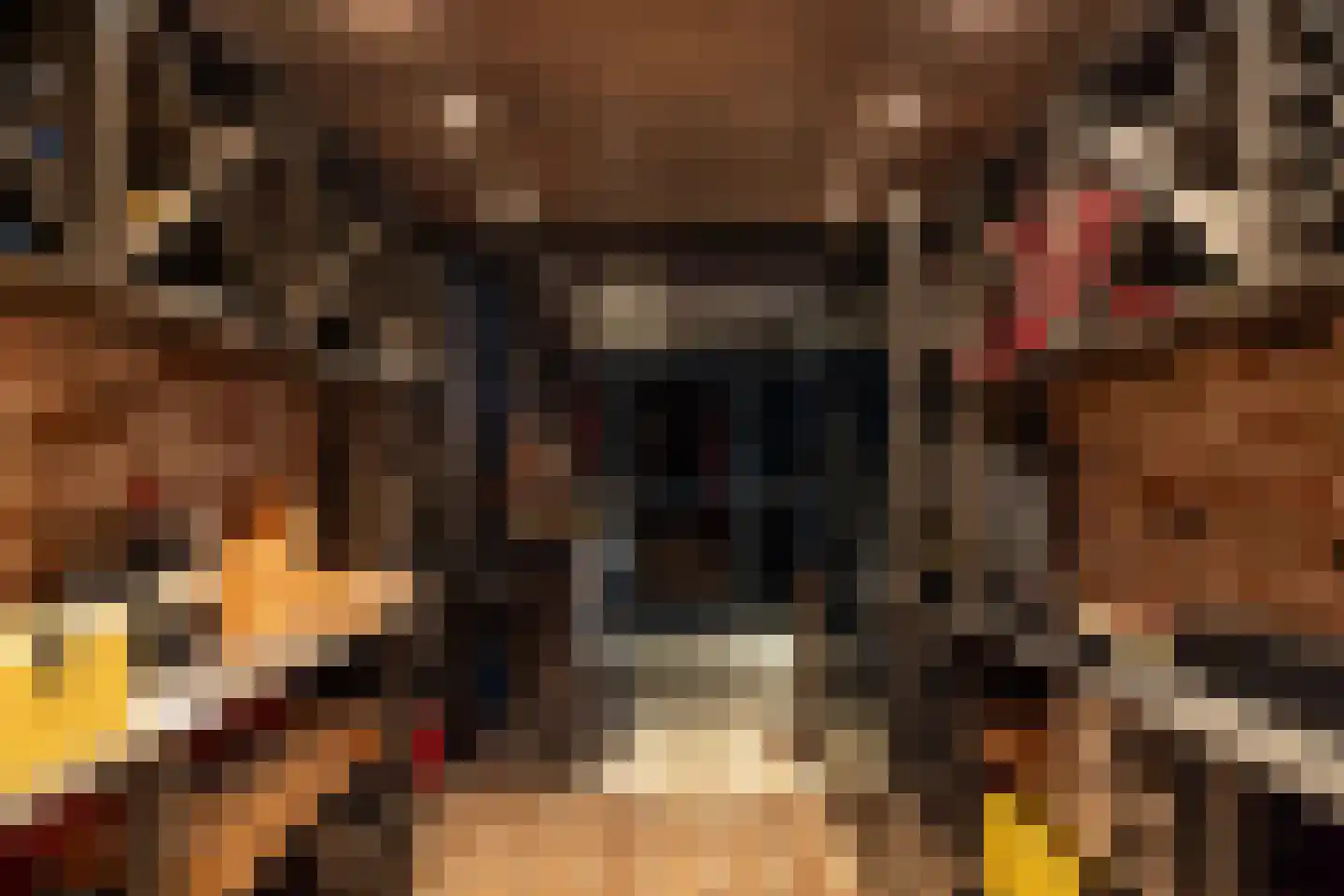 Gaalwaard 12 Vuren thumbnail 18