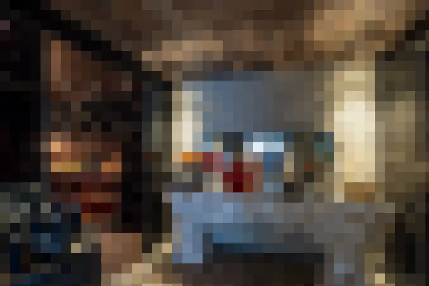 Gaalwaard 12 Vuren thumbnail 19