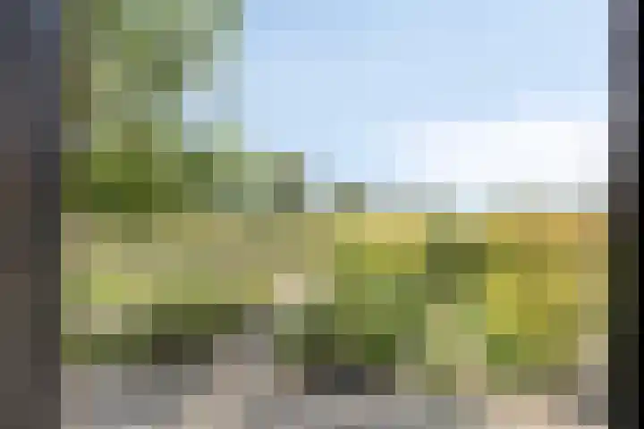 Gaanderenseweg 353 Doetinchem thumbnail 15