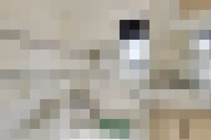 Gaanderij 24 Alphen thumbnail 20