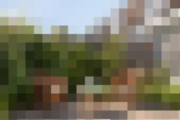 Gaanderij 24 Alphen thumbnail 25