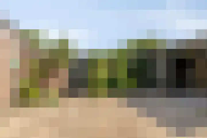 Gaanderij 24 Alphen thumbnail 26