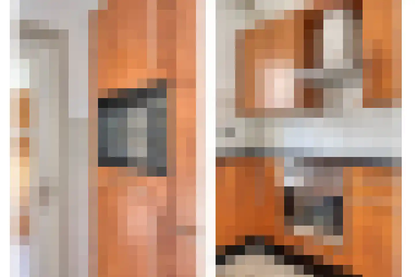 Gaanderij 44 Alphen thumbnail 12
