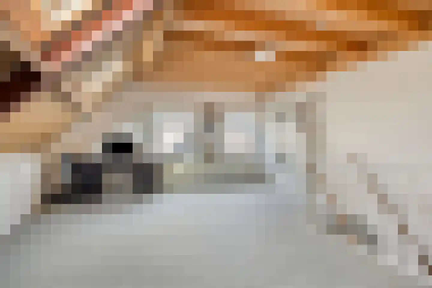 Gaanderij 44 Alphen thumbnail 22