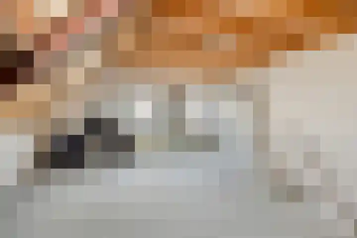 Gaanderij 44 Alphen thumbnail 22