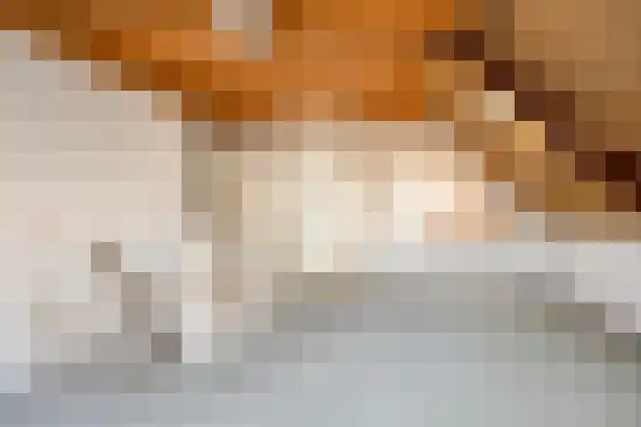 Gaanderij 44 Alphen thumbnail 23