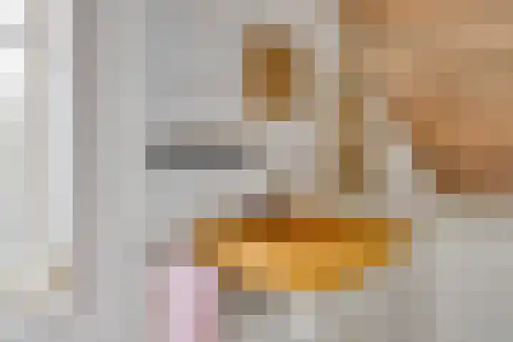Gaanderij 44 Alphen thumbnail 26