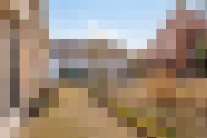 Gaanderij 44 Alphen thumbnail 30