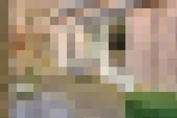 Gaanderij 44 Alphen thumbnail 33