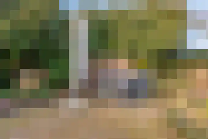 Gaanderij 44 Alphen thumbnail 34