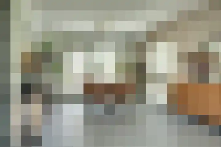 Gaanderij 5 Oosterhout thumbnail 18