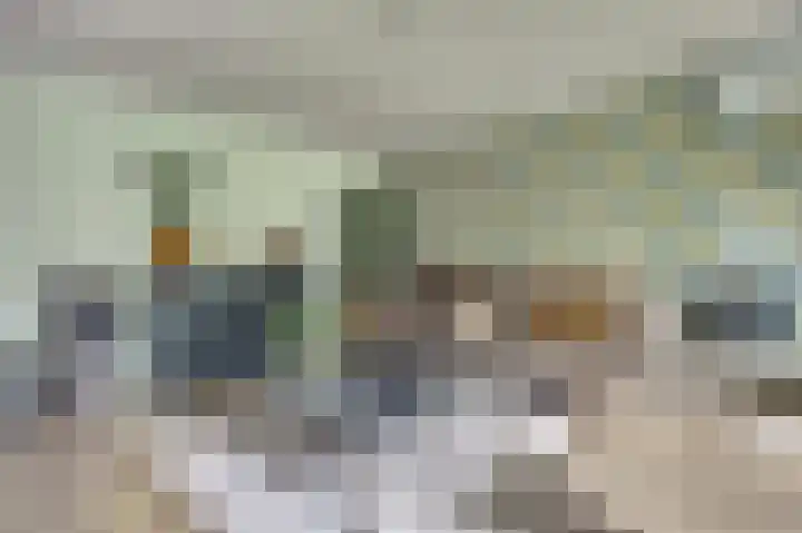Gaanderij 5 Oosterhout thumbnail 20
