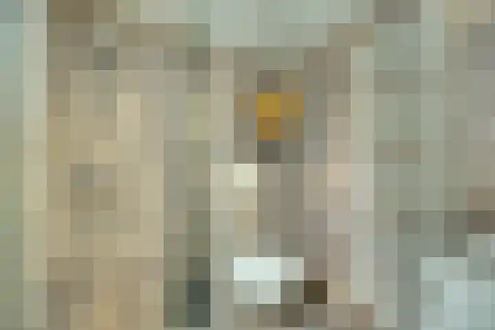 Gaanderij 5 Oosterhout thumbnail 29