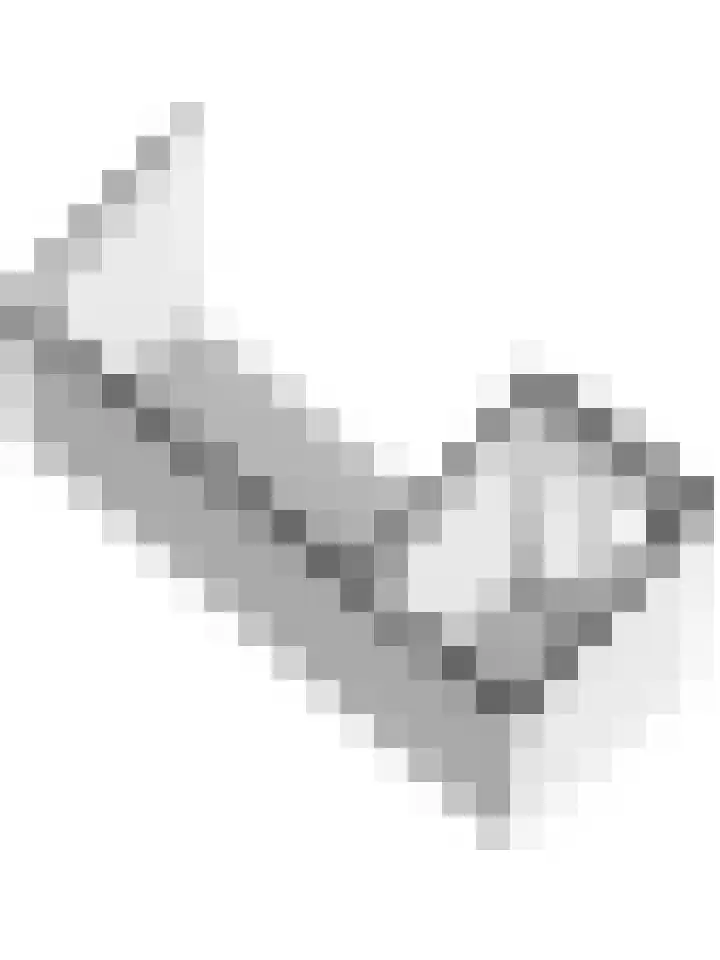 Gaanderij 5 Oosterhout thumbnail 49
