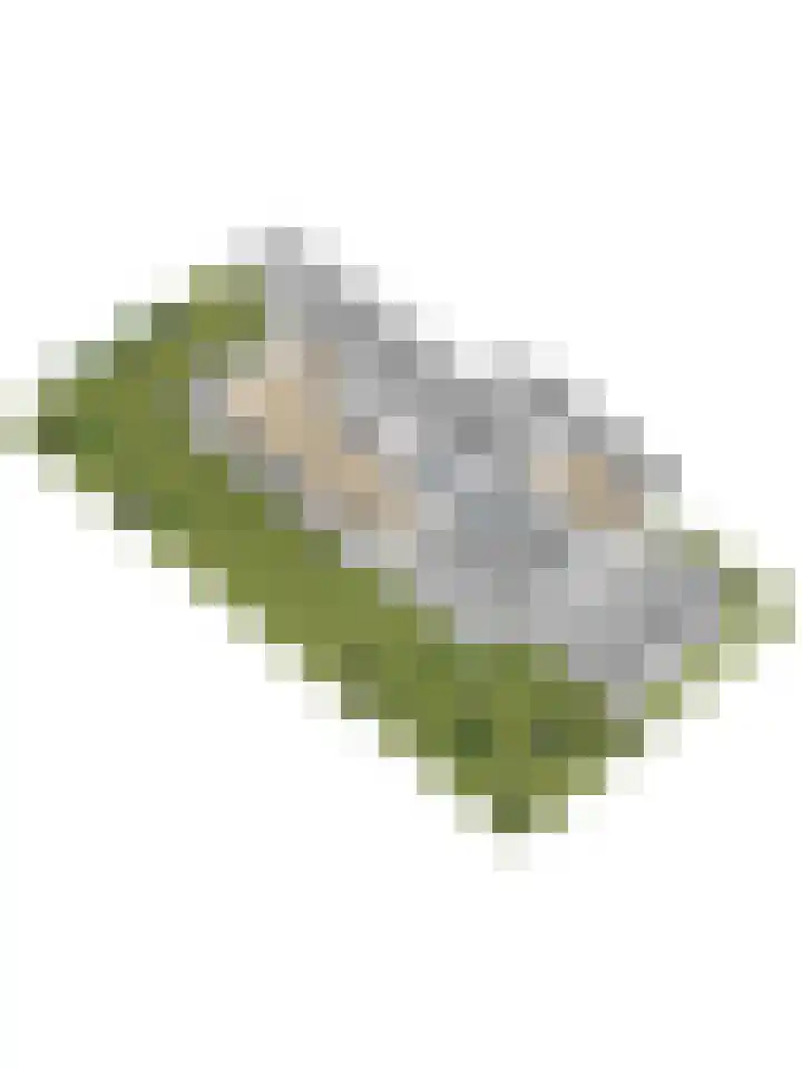 Gaanderij 5 Oosterhout thumbnail 50