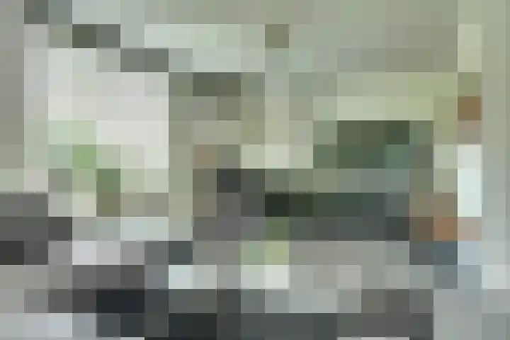 Gaanderij 5 Oosterhout thumbnail 9