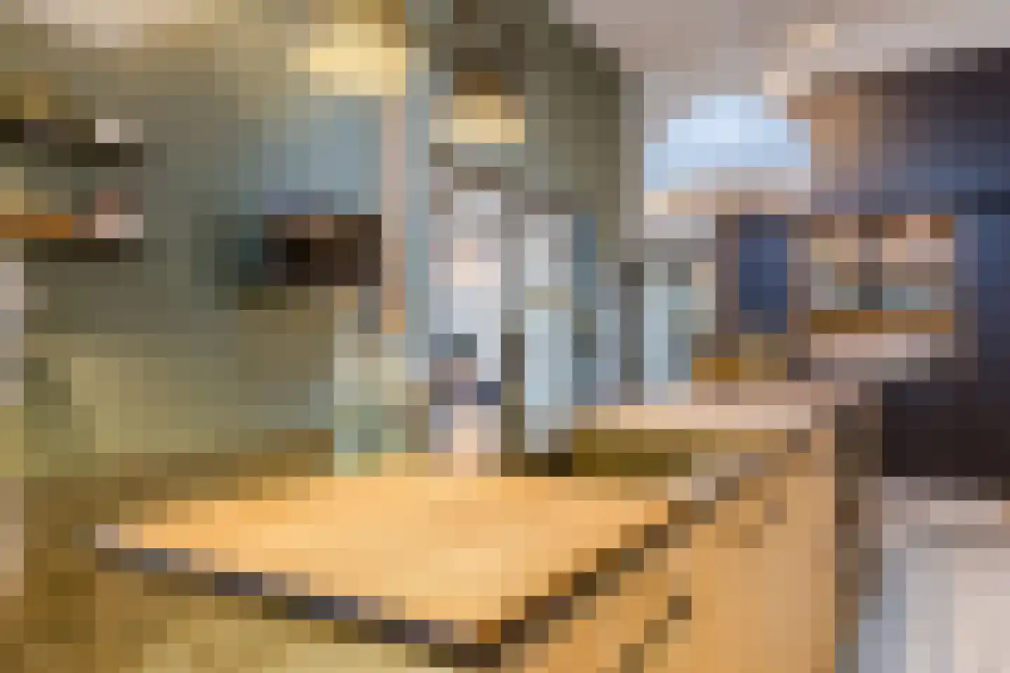 Gaanderij 9 Oosterhout thumbnail 19