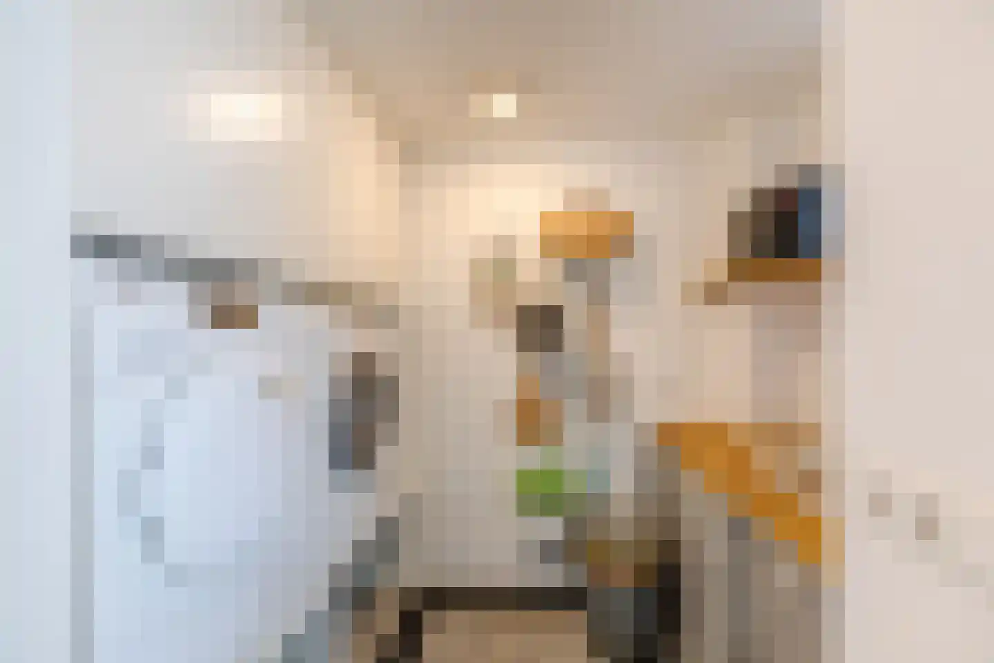 Gaanderij 9 Oosterhout thumbnail 21