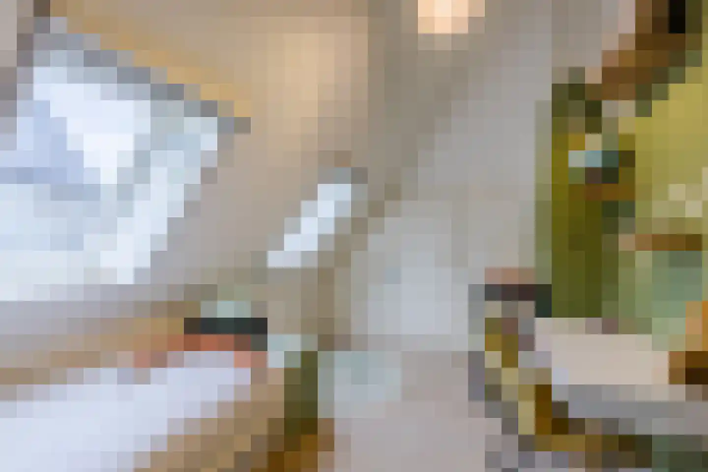 Gaanderij 9 Oosterhout thumbnail 27