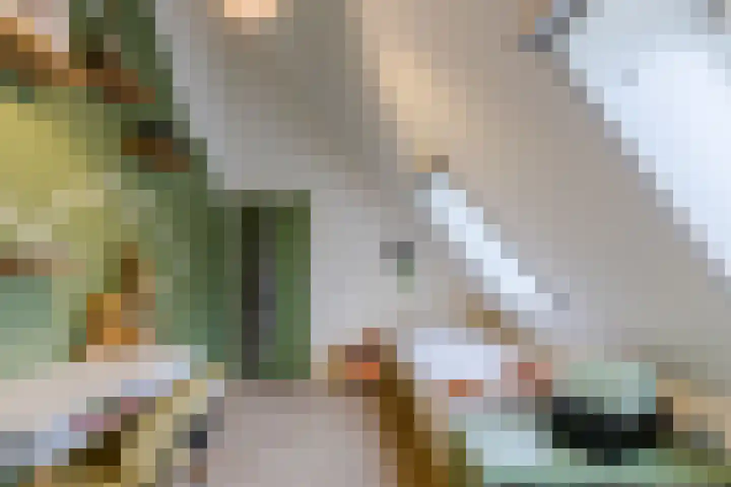 Gaanderij 9 Oosterhout thumbnail 29
