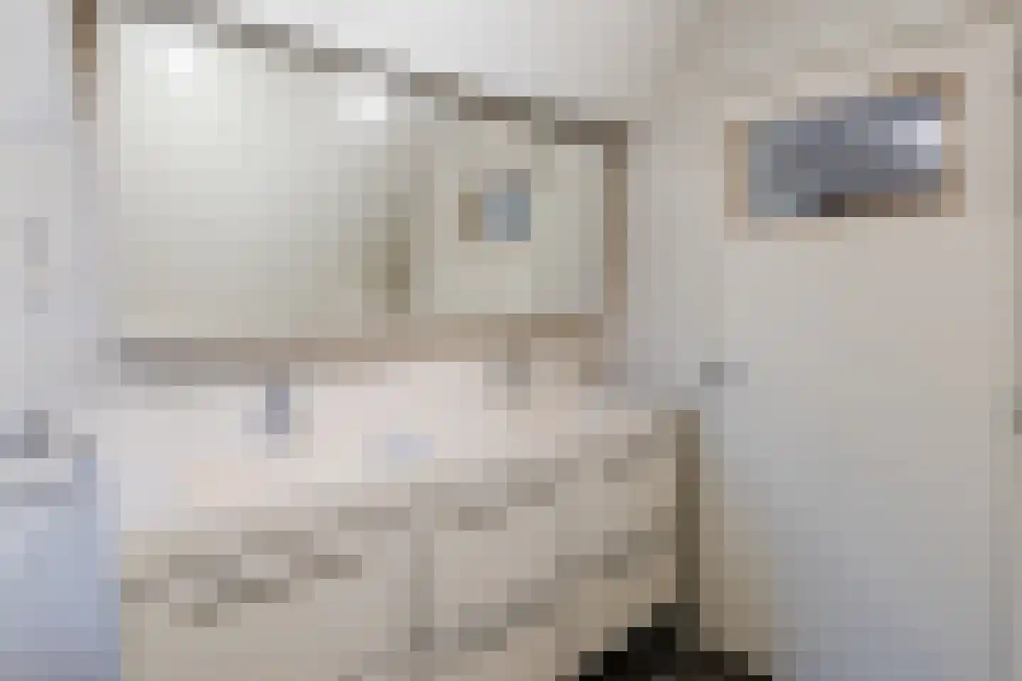 Gaanderij 9 Oosterhout thumbnail 41