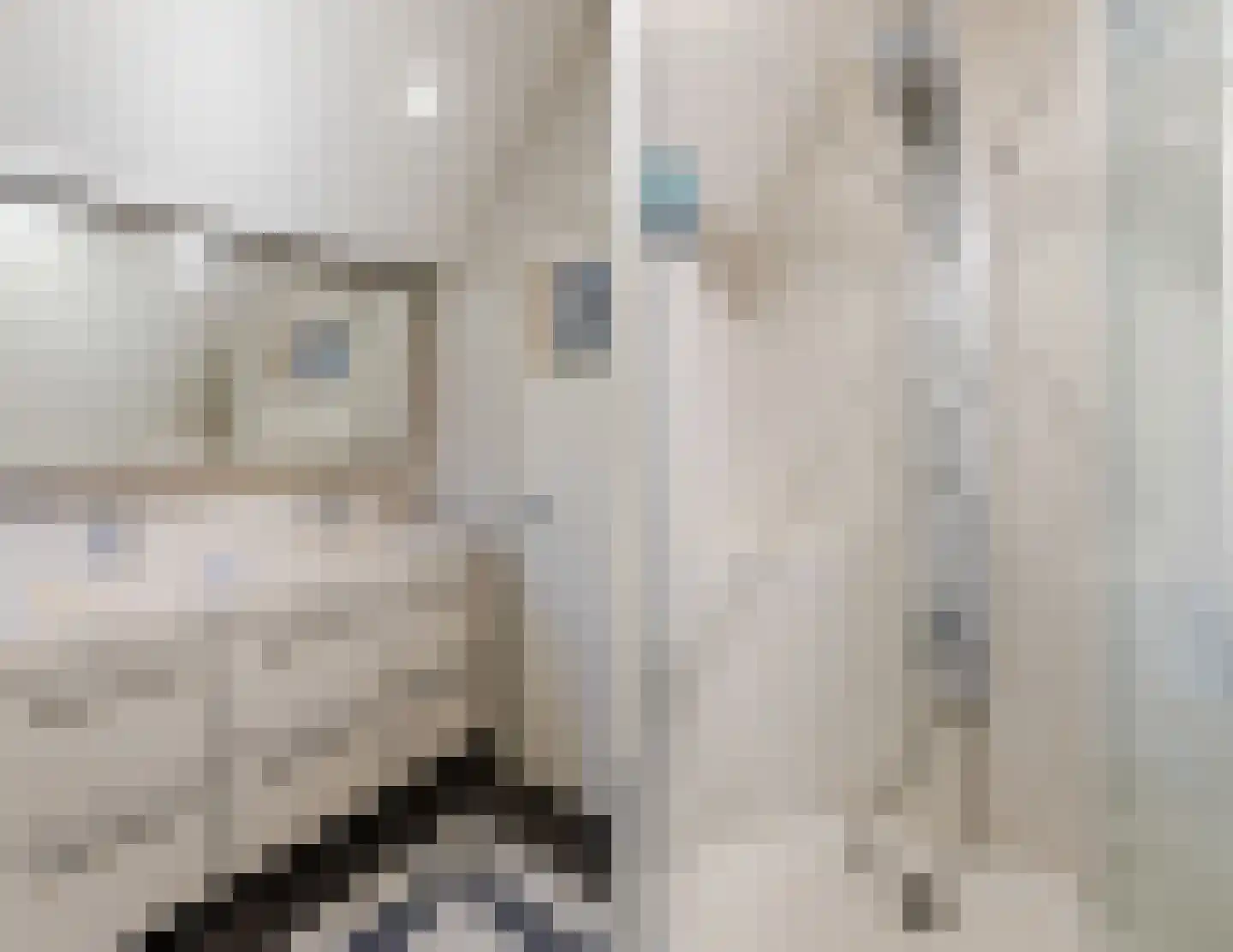 Gaanderij 9 Oosterhout thumbnail 42