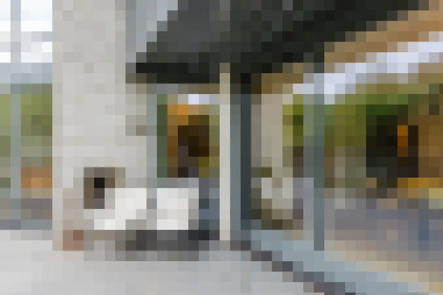 Gaanderij 9 Oosterhout thumbnail 52
