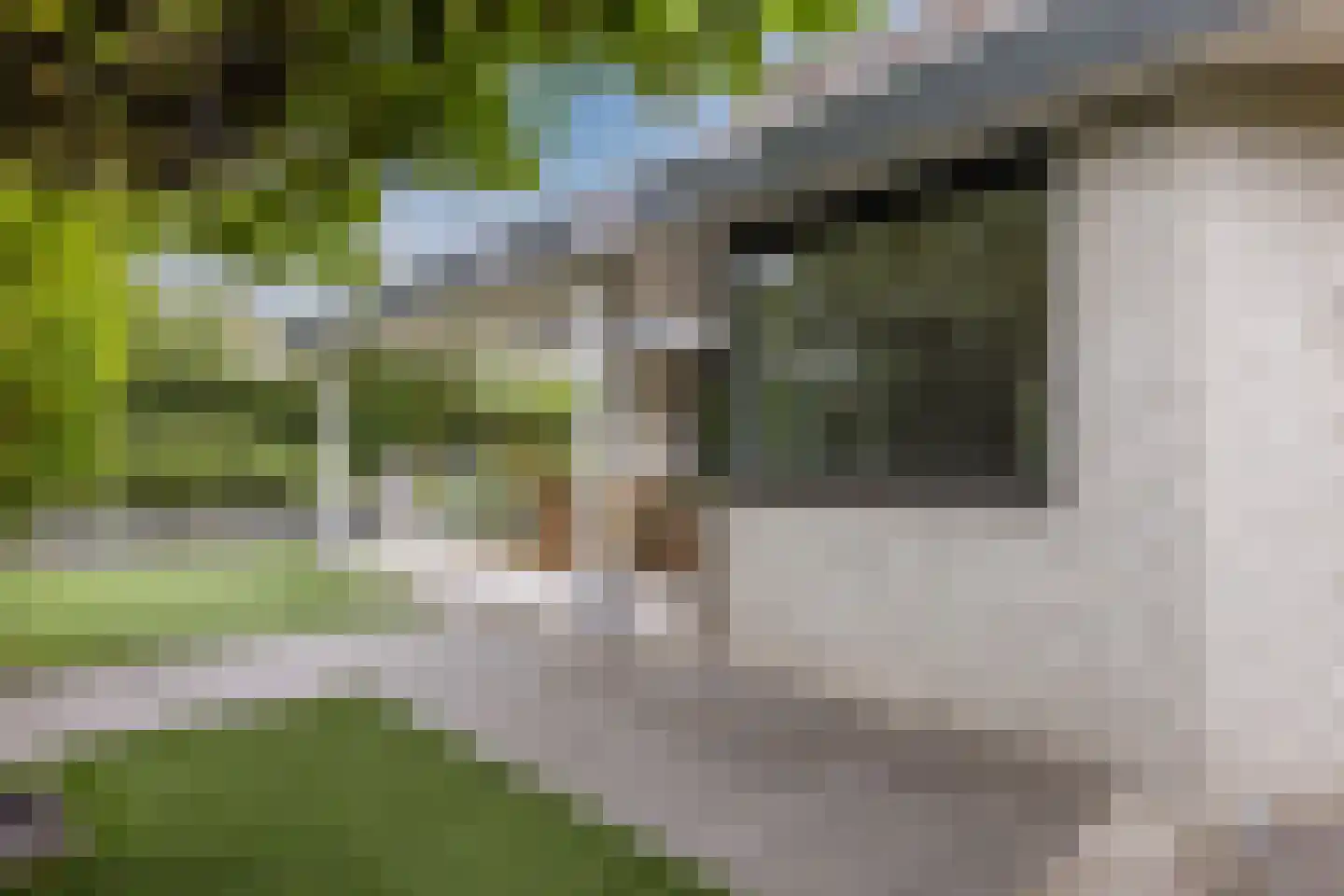 Gaanderij 9 Oosterhout thumbnail 57