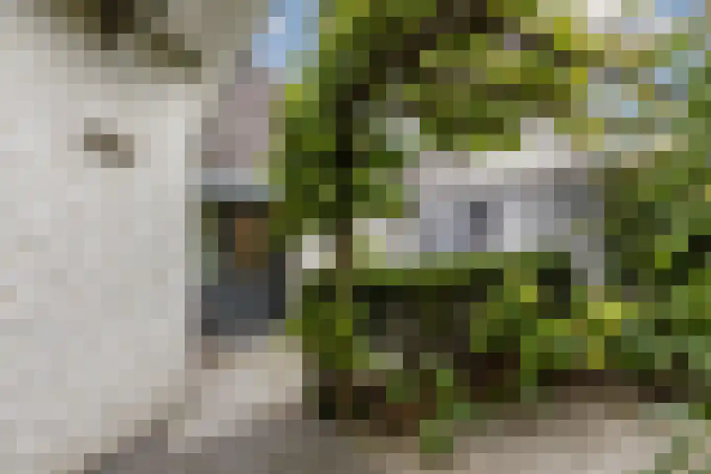 Gaanderij 9 Oosterhout thumbnail 61
