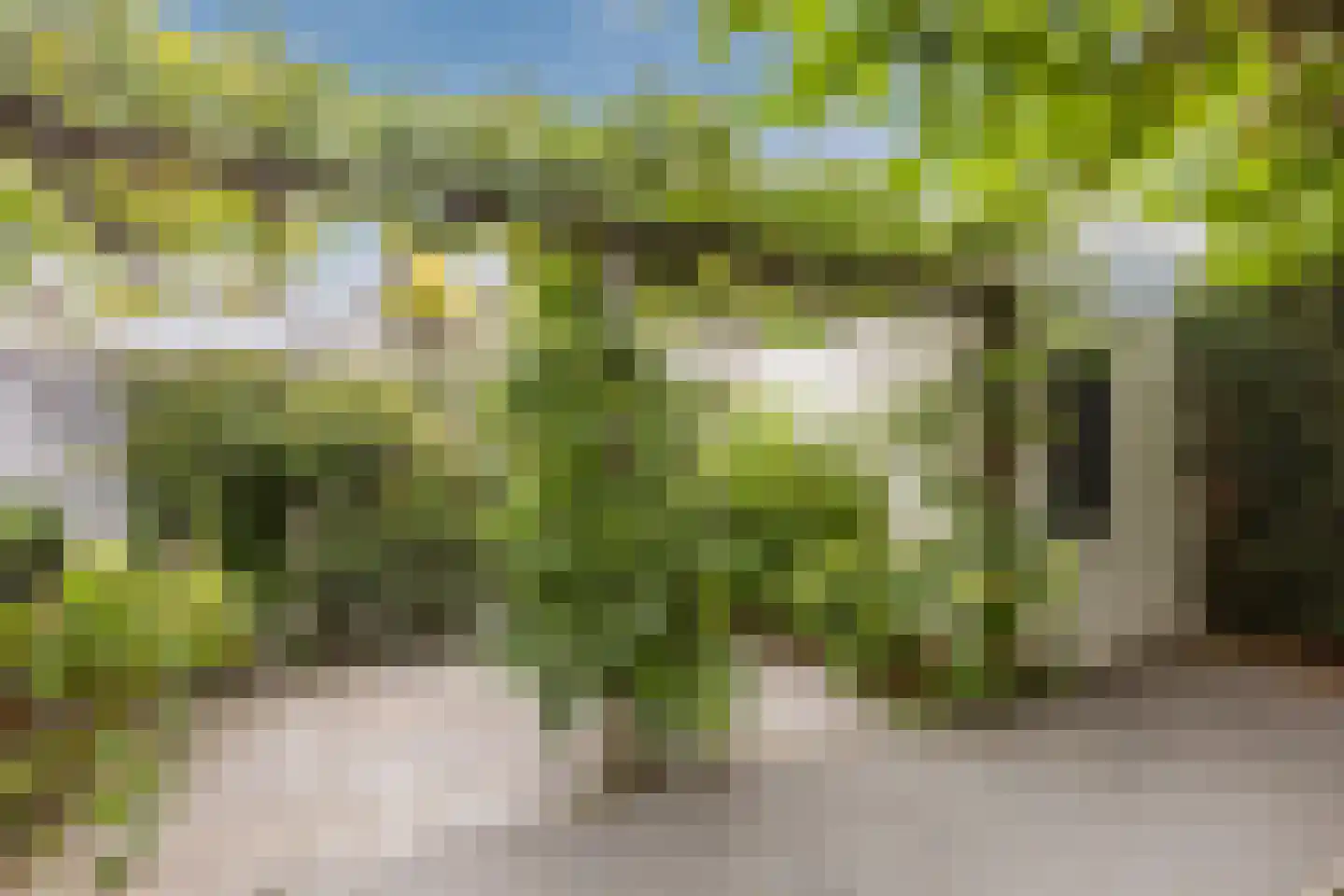 Gaanderij 9 Oosterhout thumbnail 62