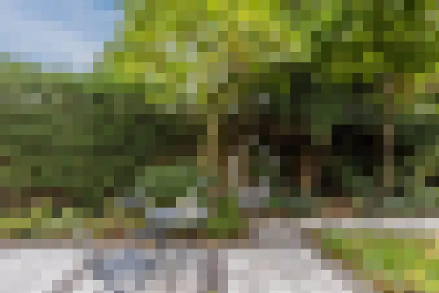 Gaanderij 9 Oosterhout thumbnail 64