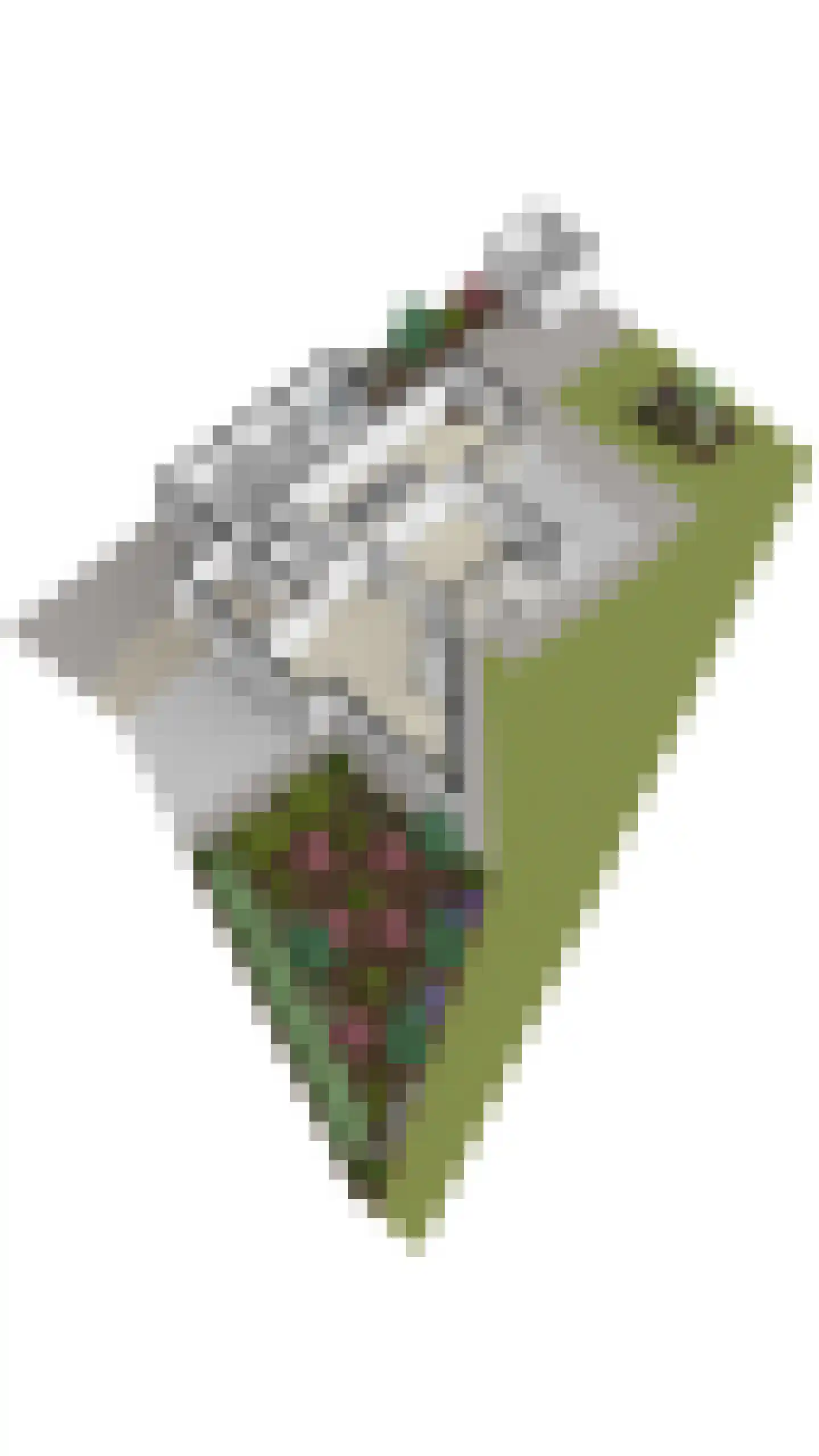 Gaanderij 9 Oosterhout thumbnail 79