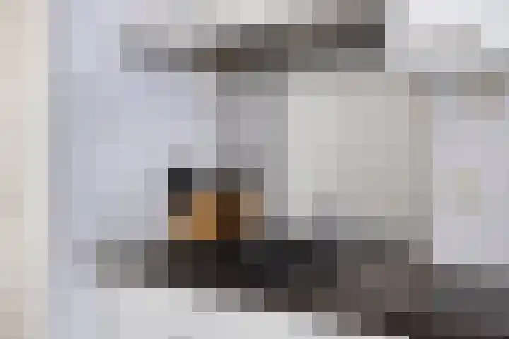 Gaandeweg 11 Amsterdam thumbnail 16