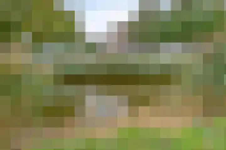 Gaandeweg 11 Amsterdam thumbnail 35