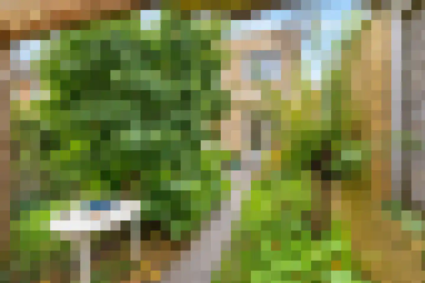 Gaandeweg 18 Amsterdam thumbnail 31