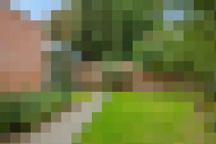 Gaard 16 Heusden thumbnail 17