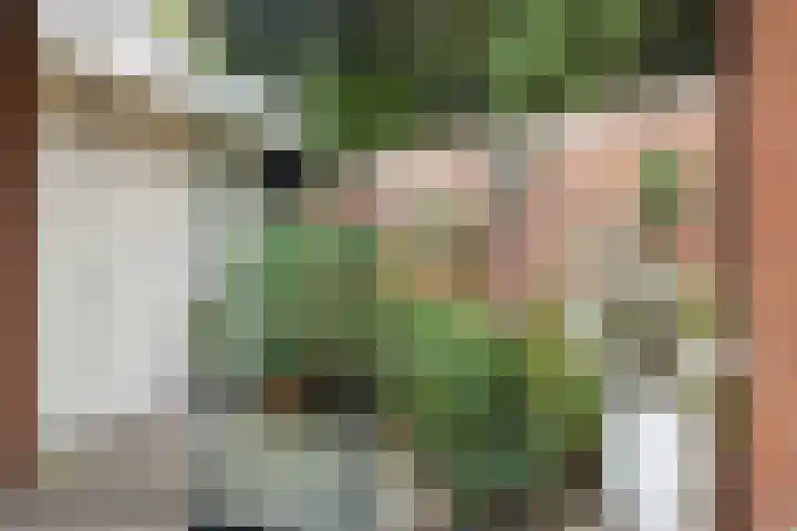 Gaard 16 Heusden thumbnail 19