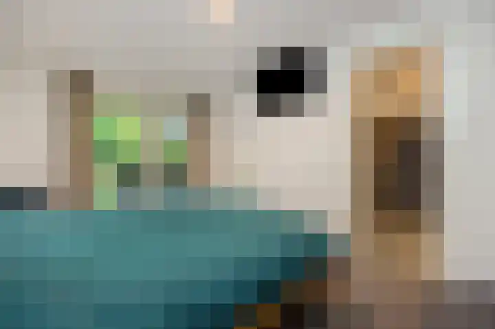 Gaard 16 Heusden thumbnail 21