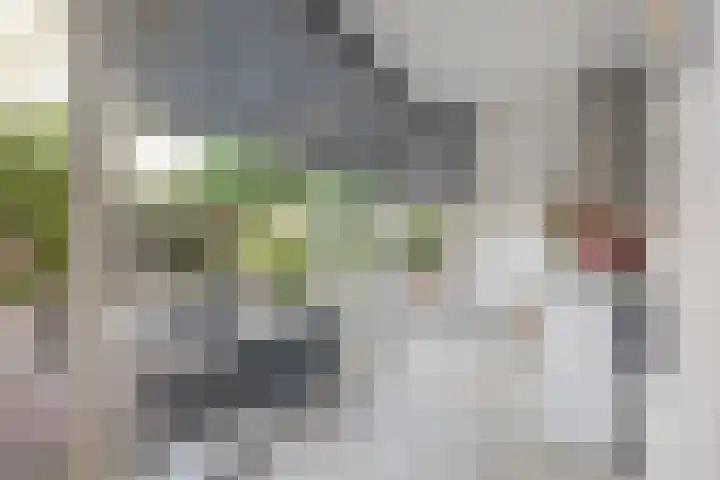 Gaard 50 Spijkenisse thumbnail 10