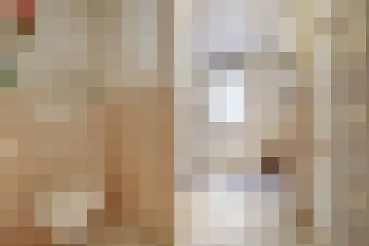 Gaard 50 Spijkenisse thumbnail 14
