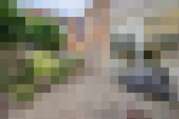Gaard 50 Spijkenisse thumbnail 22